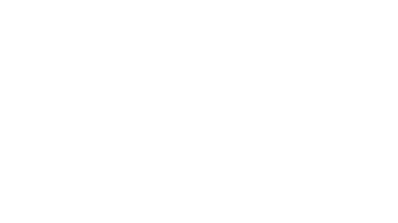 Wyndham Hotel Management